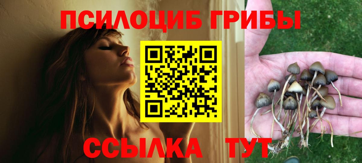 Галлюциногенные грибы прущие грибы  Псилоцибиновые грибы Magic Shrooms  где продают наркотики  Вход с VPN  Семилуки 